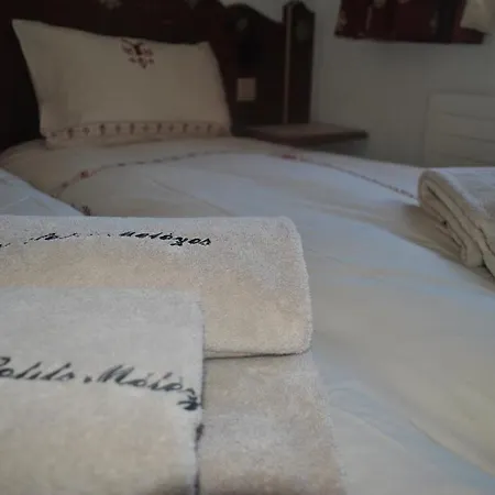 Les Petits Mélèzes Bed and breakfast Crans-Montana