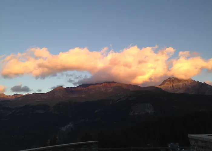 小落叶松住宿加早餐旅馆 住宿加早餐酒店