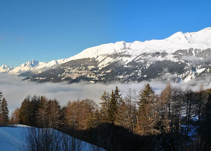 Les Petits Melezes קראנס-מונטנה