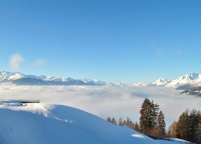 住宿加早餐酒店 小落叶松住宿加早餐旅馆