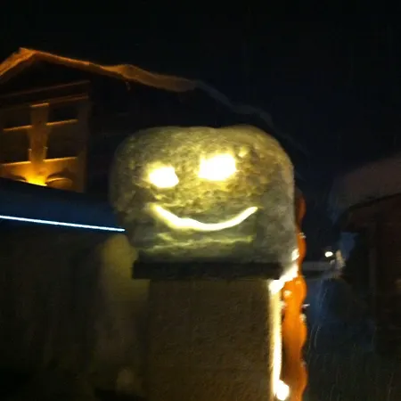 Les Petits Mélèzes 4* Crans-Montana