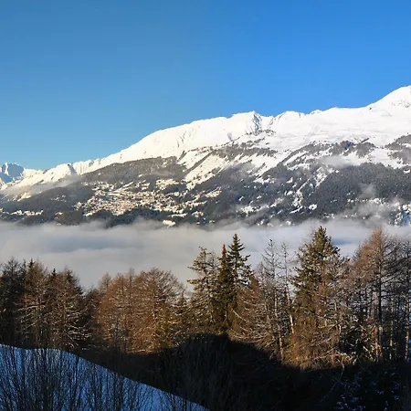 Les Petits Mélèzes Crans-Montana