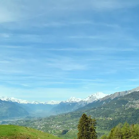 Les Petits Mélèzes Crans-Montana