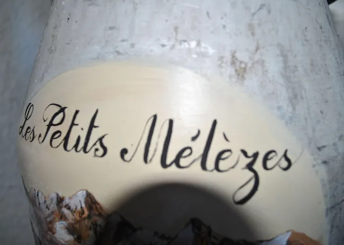 Les Petits Melezes Bed and Breakfast