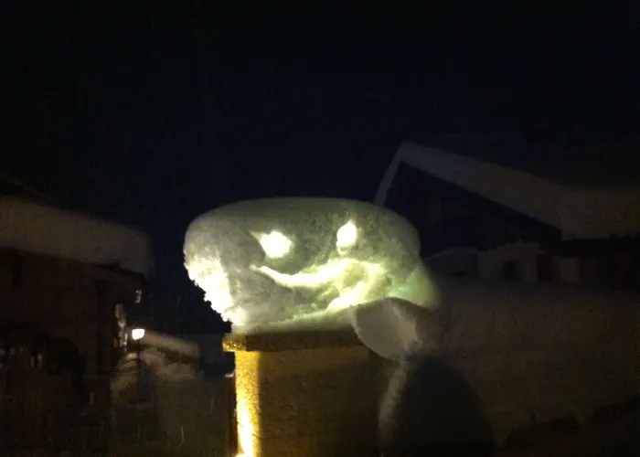 Les Petits Melezes Bed and Breakfast Κρανς Μοντάνα