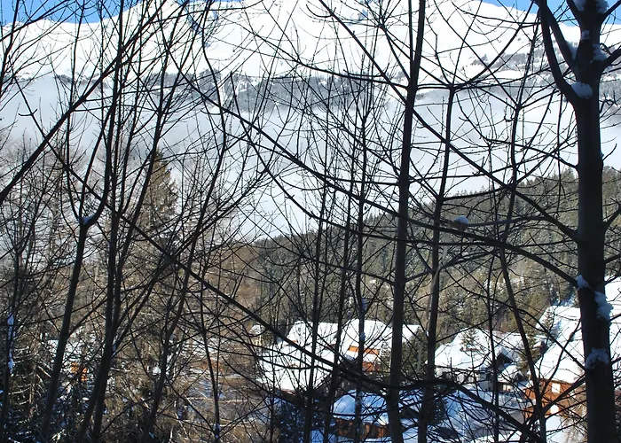 Les Petits Melezes Κρανς Μοντάνα