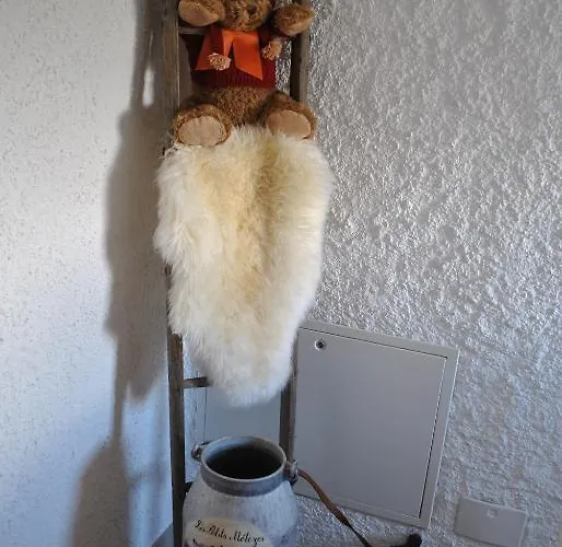 Bed and Breakfast Les Petits Melezes Κρανς Μοντάνα